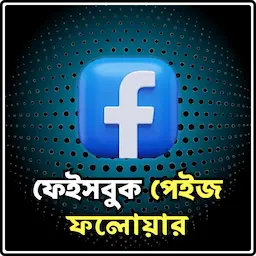Facebook Page Like / Followers